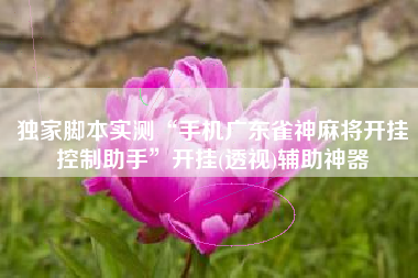 独家脚本实测“手机广东雀神麻将开挂控制助手”开挂(透视)辅助神器