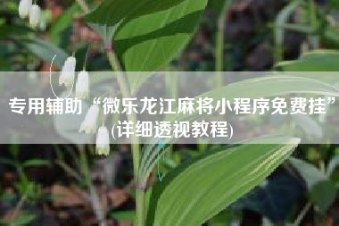 专用辅助“微乐龙江麻将小程序免费挂	”(详细透视教程)