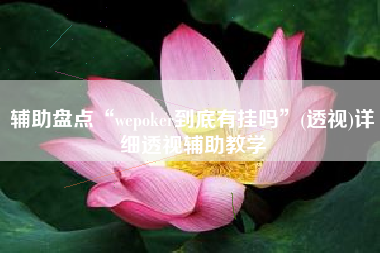 辅助盘点“wepoker到底有挂吗	”(透视)详细透视辅助教学