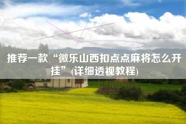 推荐一款“微乐山西扣点点麻将怎么开挂”(详细透视教程)