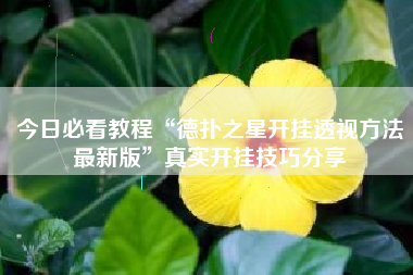 今日必看教程“德扑之星开挂透视方法最新版”真实开挂技巧分享