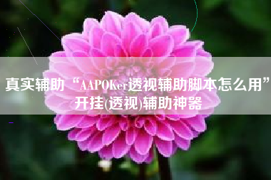 真实辅助“AAPOKer透视辅助脚本怎么用	”开挂(透视)辅助神器