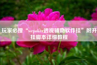 玩家必搜“wepoker透视辅助软件挂	”附开挂脚本详细教程