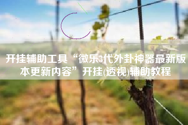 开挂辅助工具“微乐3代外卦神器最新版本更新内容”开挂(透视)辅助教程