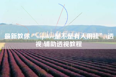 最新教你“wepoker是不是有人用挂”(透视)辅助透视教程