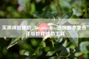 实测神器辅助“wepokerplus透视脚本免费	”详细教程辅助工具