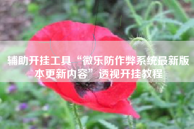 辅助开挂工具“微乐防作弊系统最新版本更新内容	”透视开挂教程