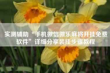 实测辅助“手机微信微乐麻将开挂免费软件	”详细分享装挂步骤教程