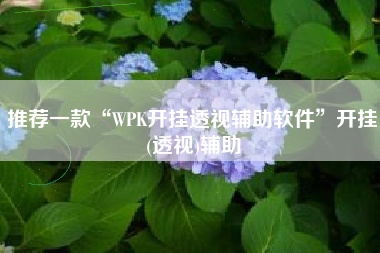 推荐一款“WPK开挂透视辅助软件”开挂(透视)辅助