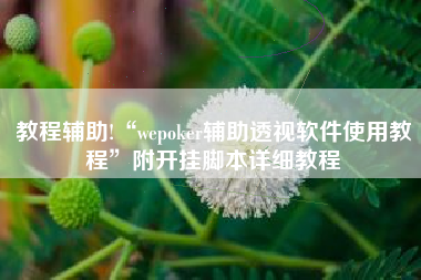 教程辅助!“wepoker辅助透视软件使用教程	”附开挂脚本详细教程