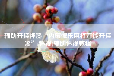 辅助开挂神器“内蒙微乐麻将万能开挂器”(透视)辅助透视教程