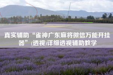 真实辅助“雀神广东麻将微信万能开挂器”(透视)详细透视辅助教学