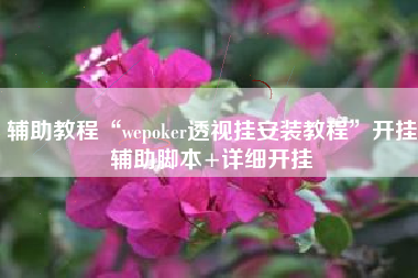 辅助教程“wepoker透视挂安装教程”开挂辅助脚本+详细开挂