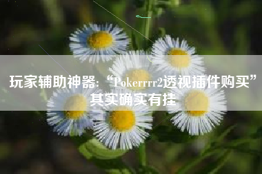 玩家辅助神器:“Pokerrrr2透视插件购买	”其实确实有挂