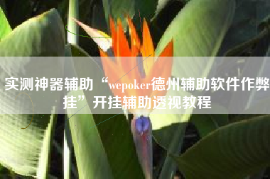 实测神器辅助“wepoker德州辅助软件作弊挂”开挂辅助透视教程