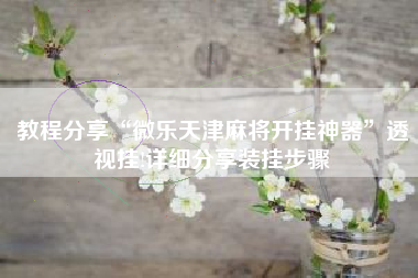 教程分享“微乐天津麻将开挂神器”透视挂!详细分享装挂步骤