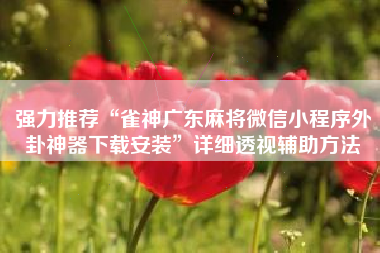 强力推荐“雀神广东麻将微信小程序外卦神器下载安装”详细透视辅助方法