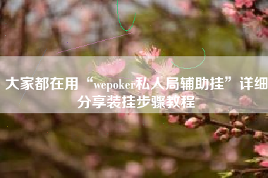 大家都在用“wepoker私人局辅助挂	”详细分享装挂步骤教程