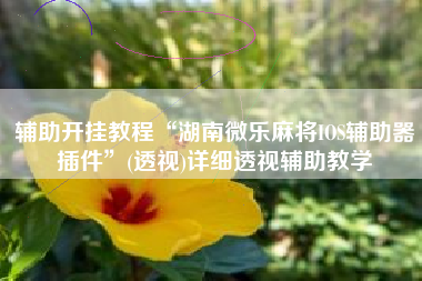 辅助开挂教程“湖南微乐麻将IOS辅助器插件	”(透视)详细透视辅助教学