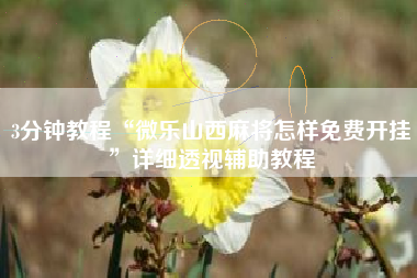 3分钟教程“微乐山西麻将怎样免费开挂”详细透视辅助教程