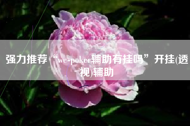 强力推荐“we-poker辅助有挂吗”开挂(透视)辅助