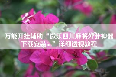 万能开挂辅助“微乐四川麻将外卦神器下载安装ios”详细透视教程