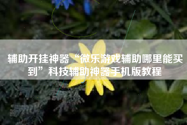 辅助开挂神器“微乐游戏辅助哪里能买到”科技辅助神器手机版教程