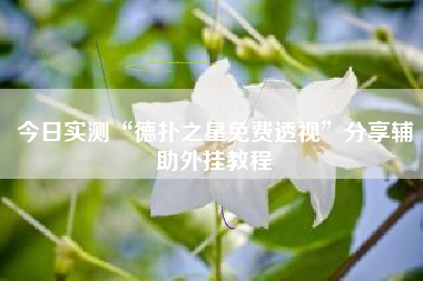 今日实测“德扑之星免费透视	”分享辅助外挂教程