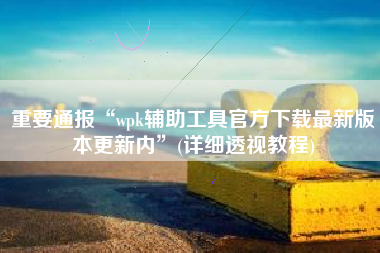 重要通报“wpk辅助工具官方下载最新版本更新内”(详细透视教程)