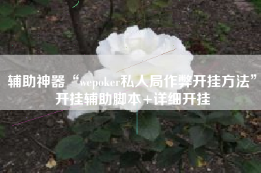 辅助神器“wepoker私人局作弊开挂方法”开挂辅助脚本+详细开挂