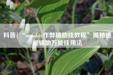 科普|“wepoker作弊辅助挂教程	”揭秘透视辅助万能挂用法