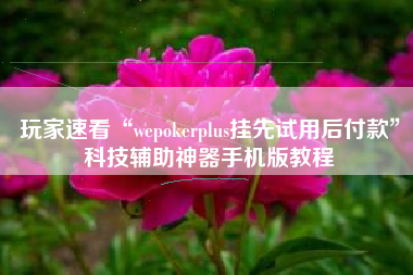 玩家速看“wepokerplus挂先试用后付款”科技辅助神器手机版教程