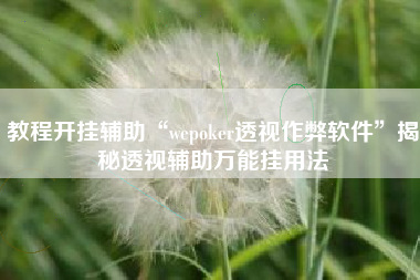教程开挂辅助“wepoker透视作弊软件	”揭秘透视辅助万能挂用法