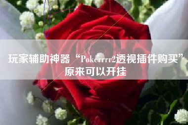 玩家辅助神器“Pokerrrr2透视插件购买	”原来可以开挂