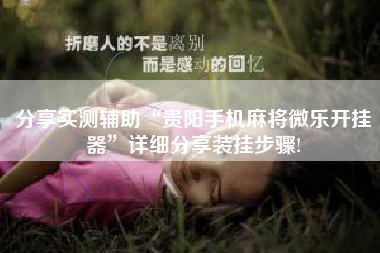 分享实测辅助“贵阳手机麻将微乐开挂器	”详细分享装挂步骤!