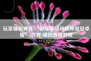 玩家辅助神器:“微乐够级开挂神器安卓版”(作弊)辅助透视教程