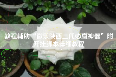 教程辅助“微乐陕西三代必赢神器	”附开挂脚本详细教程