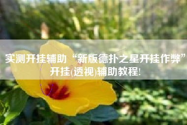 实测开挂辅助“新版德扑之星开挂作弊	”开挂(透视)辅助教程!