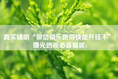 真实辅助“微信微乐跑得快能开挂不”(曝光透视必备猫腻)