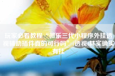 玩家必看教程“微乐三代小程序外挂透视辅助插件真的可行吗”(透视)其实确实有挂