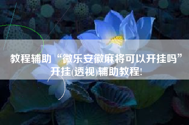 教程辅助“微乐安徽麻将可以开挂吗”开挂(透视)辅助教程!