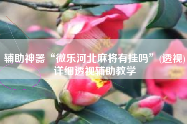 辅助神器“微乐河北麻将有挂吗	”(透视)详细透视辅助教学