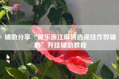 辅助分享“微乐浙江麻将透视挂作弊辅助	”开挂辅助教程