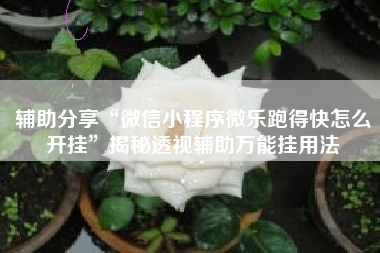 辅助分享“微信小程序微乐跑得快怎么开挂”揭秘透视辅助万能挂用法