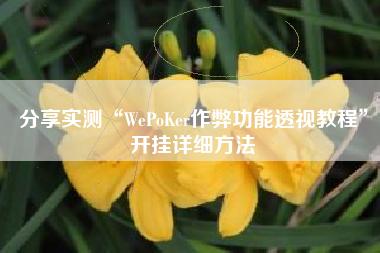 分享实测“WePoKer作弊功能透视教程”开挂详细方法