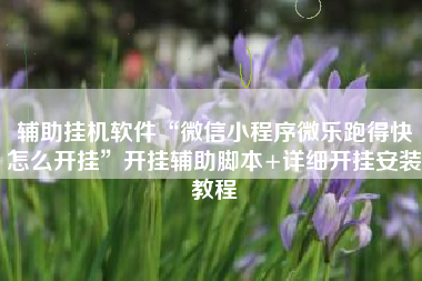 辅助挂机软件“微信小程序微乐跑得快怎么开挂”开挂辅助脚本+详细开挂安装教程