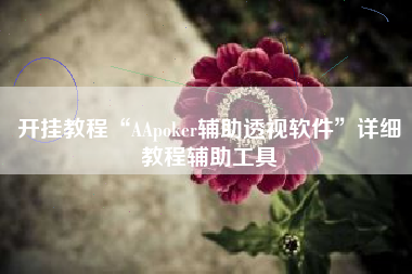 开挂教程“AApoker辅助透视软件”详细教程辅助工具