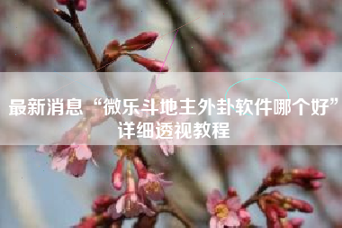 最新消息“微乐斗地主外卦软件哪个好”详细透视教程