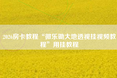 2026房卡教程“微乐锄大地透视挂视频教程”用挂教程
