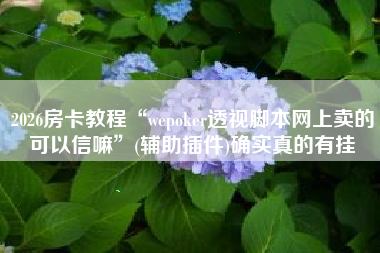 2026房卡教程“wepoker透视脚本网上卖的可以信嘛	”(辅助插件)确实真的有挂